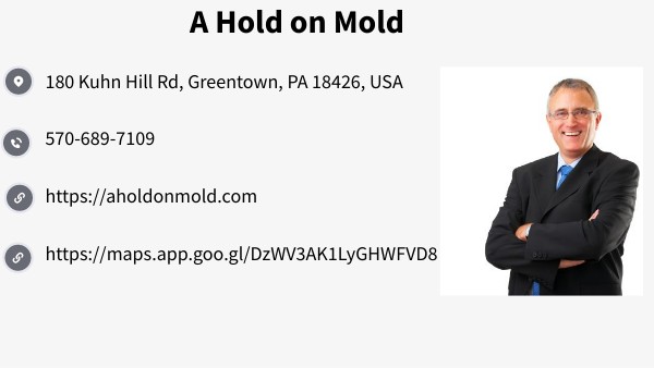 A Hold on Mold | Genially