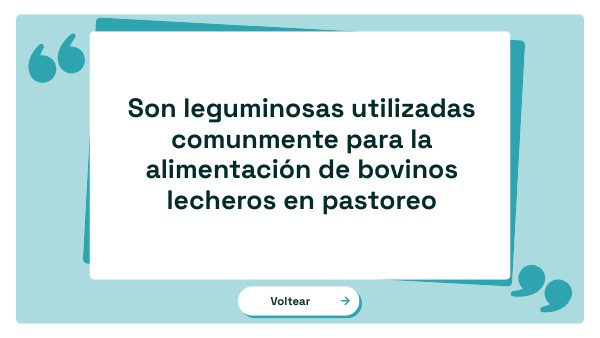 FLASHCARD AMPLIAR | Genially
