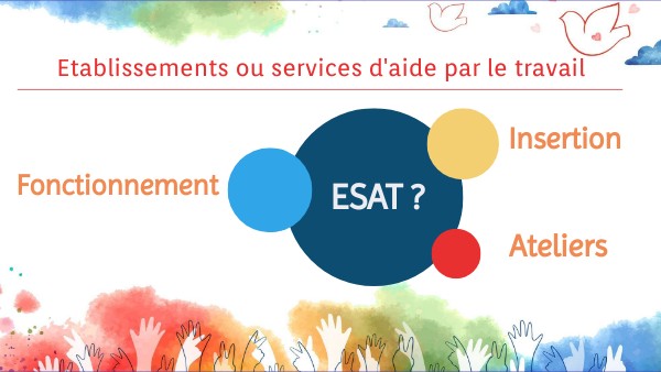 Quel Est Le Rôle D’Un Esat _ Comment Fonctionne Un Esat – VSJA