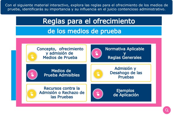4.8.1. Reglas para el ofrecimiento de los medios de prueba.