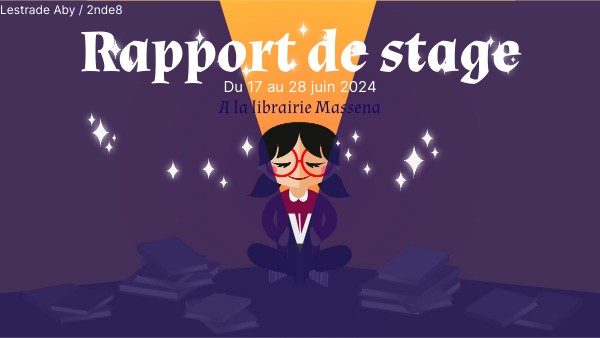 Rapport de stage Seconde