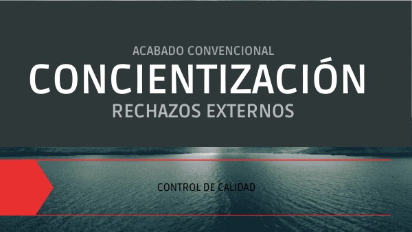 Presentación infográfica