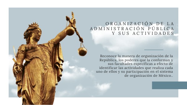 Organización de la Administración Pública y sus Actividades