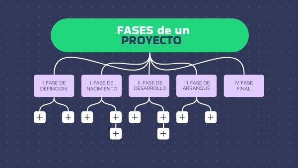 FASES DE UN PROYECTO
