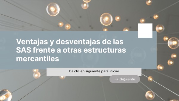 2.15 Ventajas y desventajas de las SAS frente a otras estructuras merc