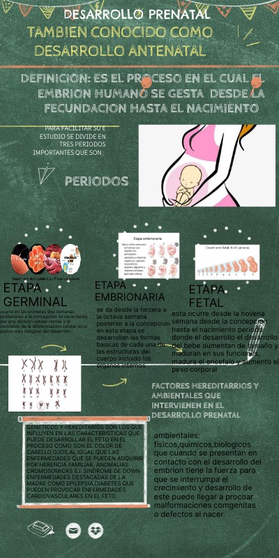 Copy - Infografia Desarrollo prenatal