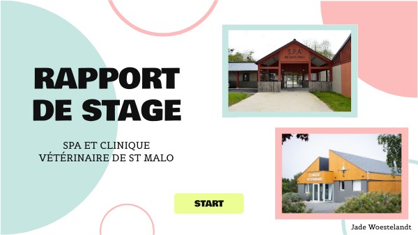 Page De Garde D'un Rapport De Stage Sur Le Vétérinaire Rapport de stage - SPA et clinique vétérinaire de St Malo