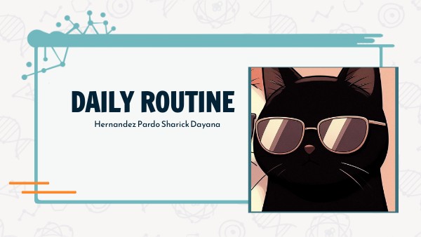 Daily Routine