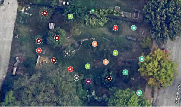 Virginia Orchard Map