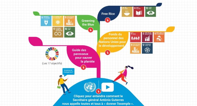 Testeurs - FR- SDG TREE