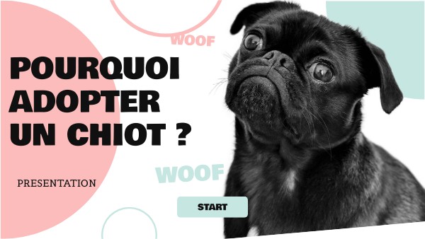 POURQUOI AVOIR UN CHIOT