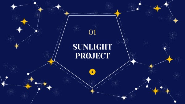 SUNLIGHT PROJECT