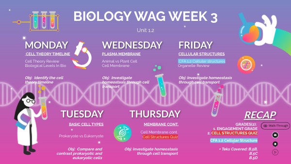 Bio WAG Week 3