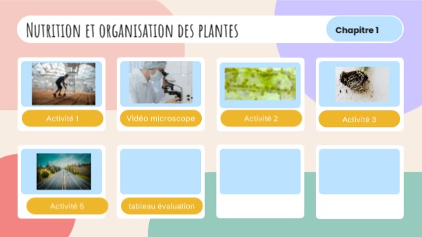 4ème : Plantes