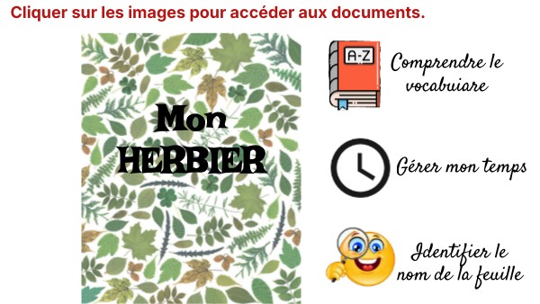 Mon herbier
