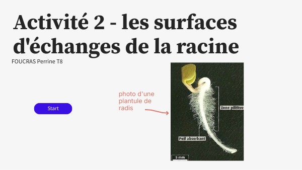 Cours interactive basique