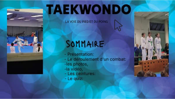 Cours interactive basique