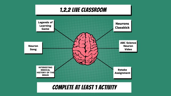 Brain 1.2.2 Live Class