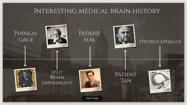 THE BRAIN: MEDICAL HISTORY