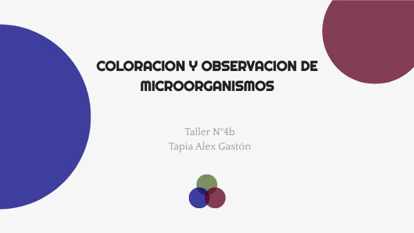 coloracion y observacion de microorganismos | Genially