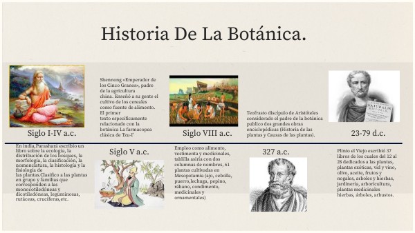 Linea del tiempo de la historia de la botanica-Tamez Gonzalez Tabatha