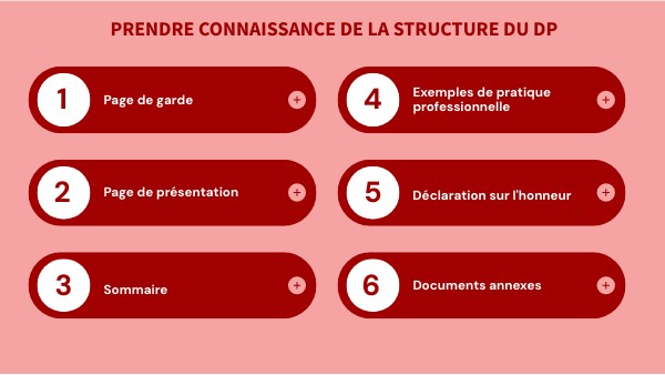 Dossier professionnel