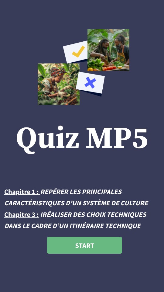 Quiz MP5_I-III | Genially