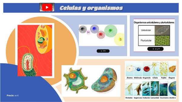 diferencias de las celulas