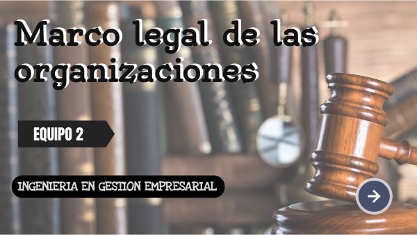 Marco Legal de las Organizaciones