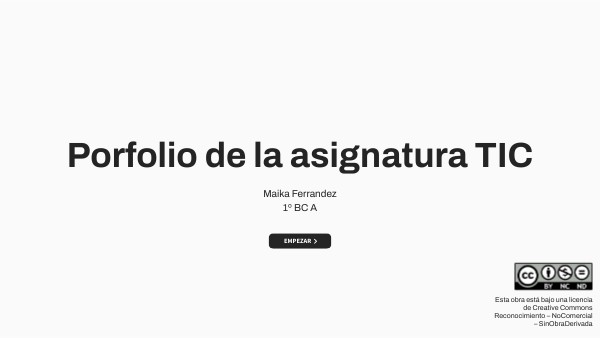 porfolio TIC