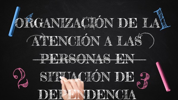 ORGANIZACIÓN DE LA ATENCIÓN A LAS PERSONAS EN SITUACIÓN DE DEPENDENCIA