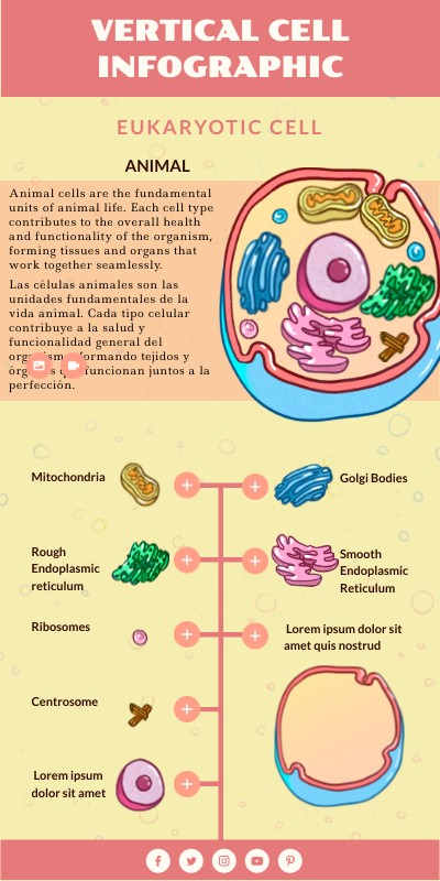 CELL VERTICAL INFO | Genially