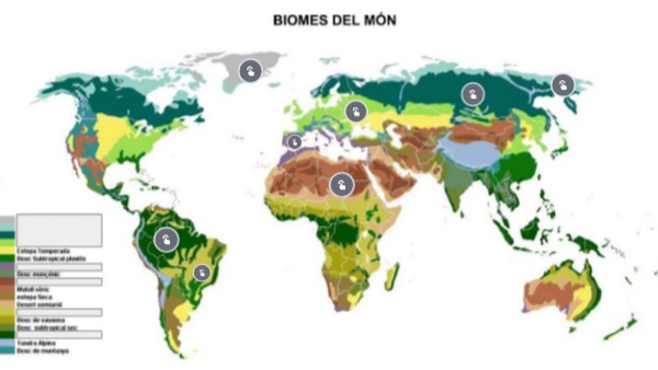 Mapa Data Vis