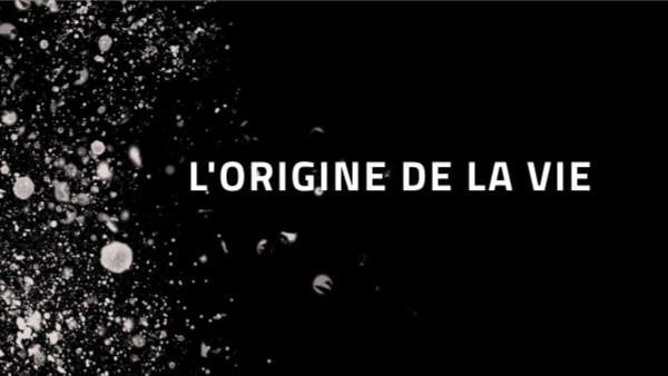 L origine De La Vie