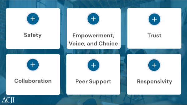 APPA 5_10 Key Principles | Genially