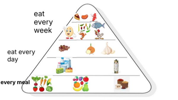 the food pyramid
