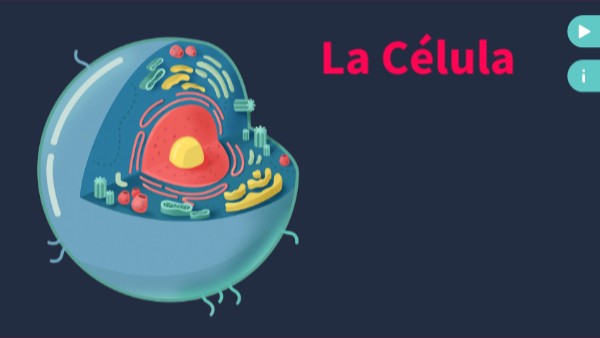 Interactive cell poster