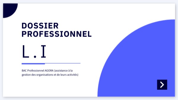 Dossier Professionnel I.L