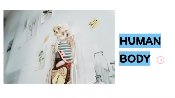 The human body | Genially