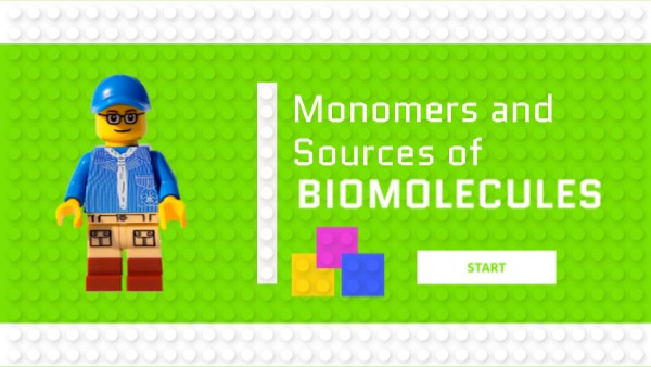 Monomers and Sources of Biomolecules | Genially