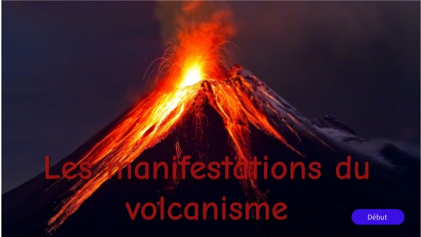 Cours interactif basique