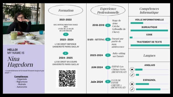 CV infographique