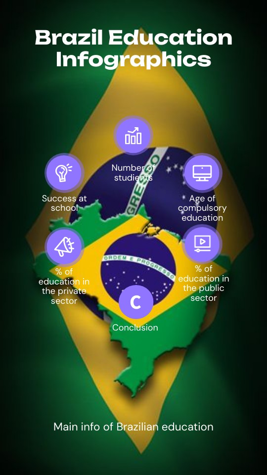 Brazil Infographics