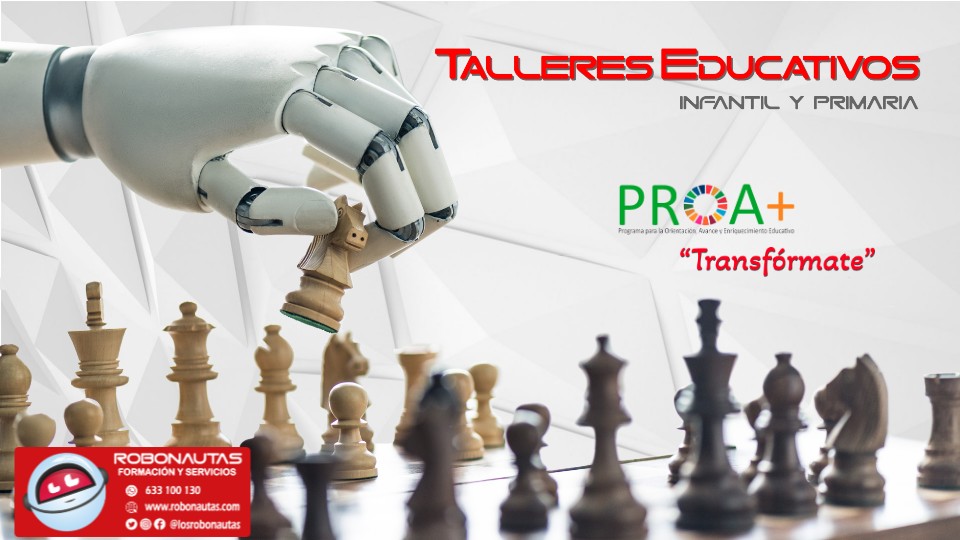 Talleres educativos PROA+
