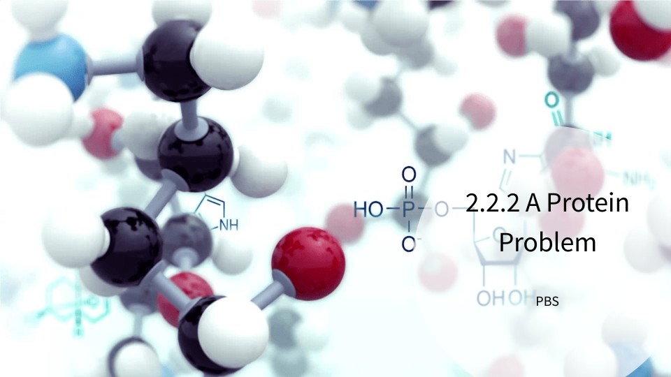 2.2.2 A Protein Problem | Genially