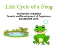 Life cycle of a Frog | Genially