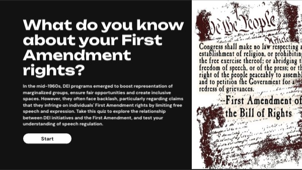 DEI and the First Amendment