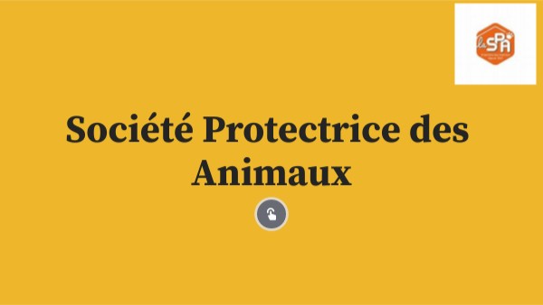 Cours interactif basique