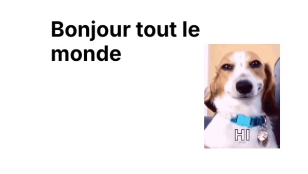 Exposer Emc contre le racisme