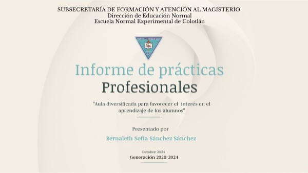 INFORME DE PRACTICAS PROFESIONALES BSSS